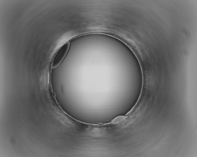 X0000112721365200908201239