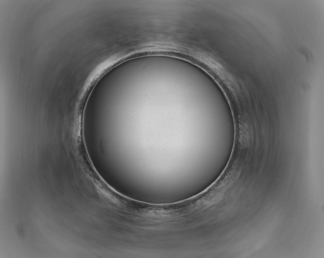 X0000112721366200908201239