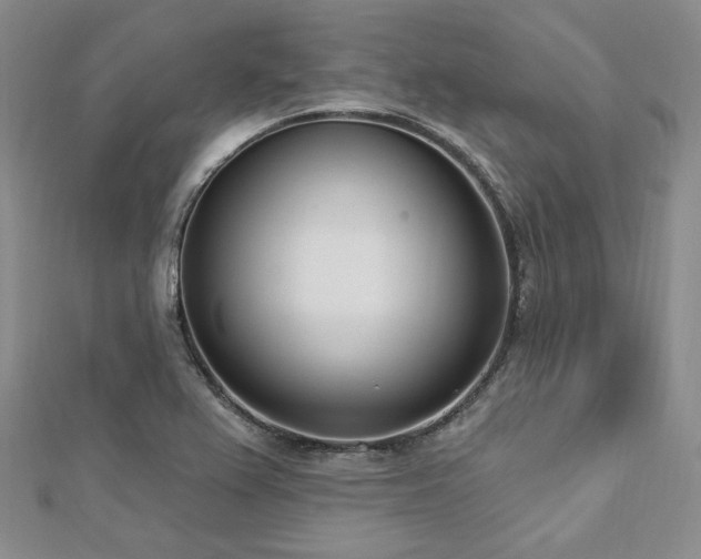X0000112721367200908201239