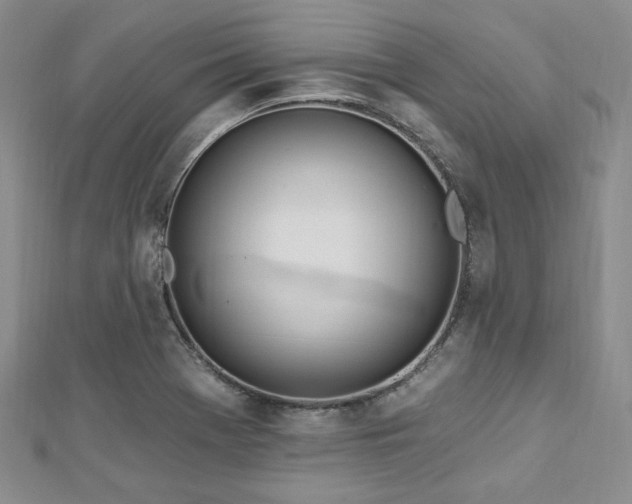 X0000112721369200908201239