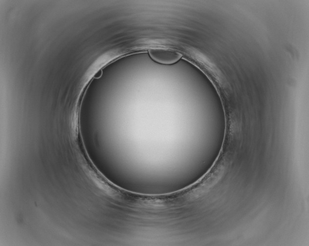 X0000112721370200908201239