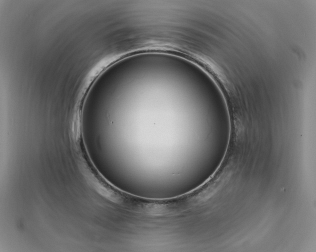 X0000112721371200908201239