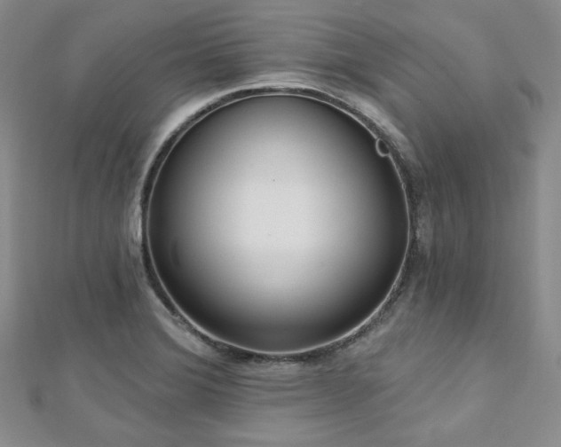 X0000112721372200908201239