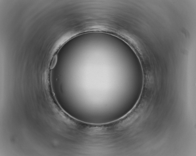 X0000112721373200908201239
