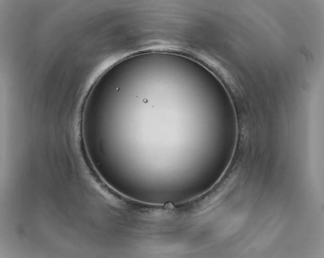 X0000112721375200908201239