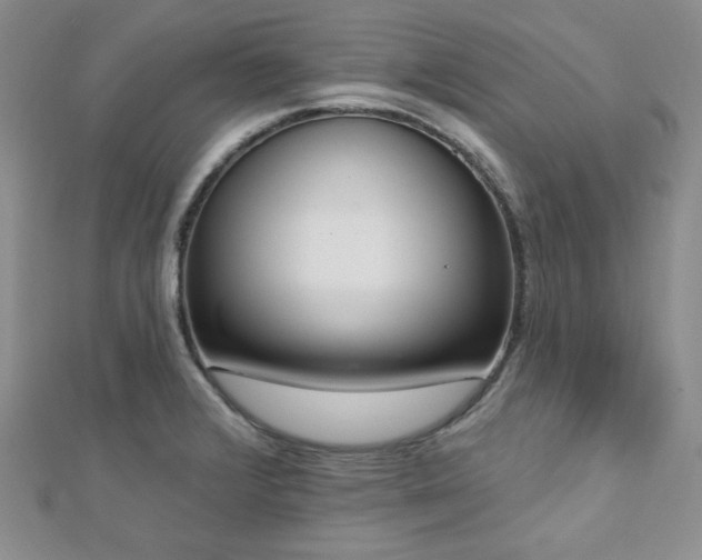 X0000112721376200908201239