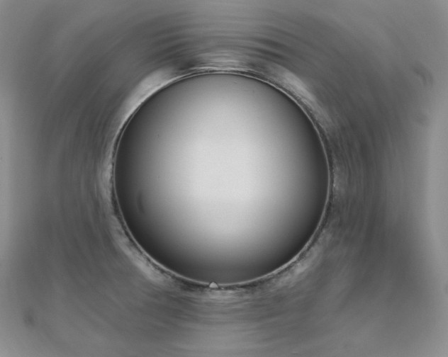 X0000112721378200908201239