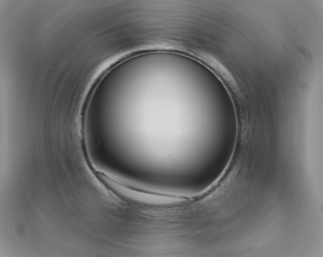 X0000112721380200908201239