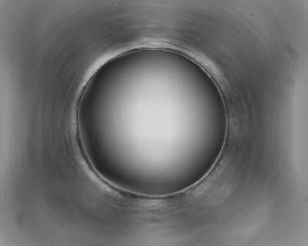 X0000112721382200908201239