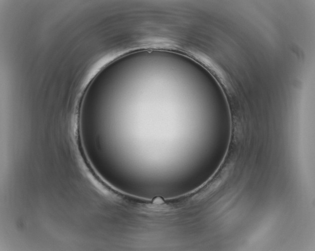 X0000112721383200908201239