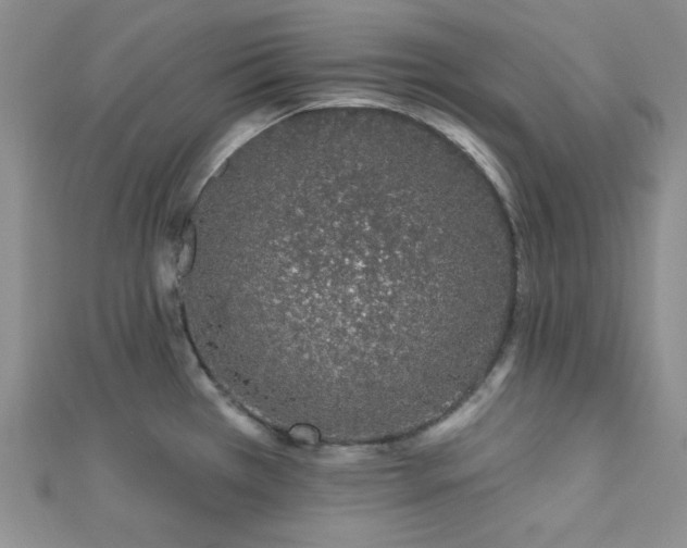 X0000112721385200908201239