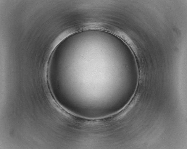 X0000112721386200908201239
