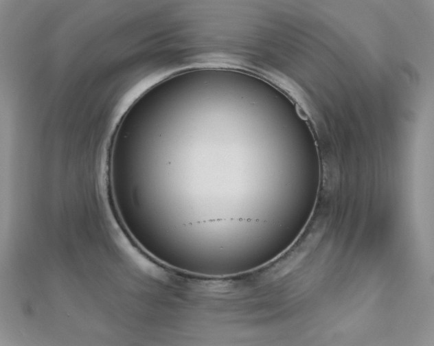 X0000112721387200908201239