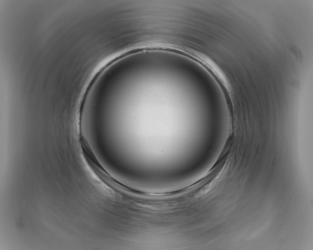 X0000112721388200908201239