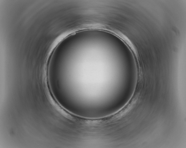 X0000112721389200908201239