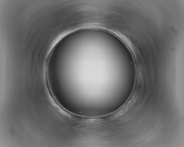 X0000112721390200908201239