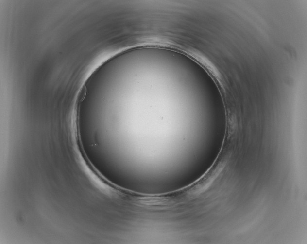 X0000112721391200908201239
