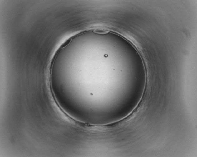 X0000112721392200908201239