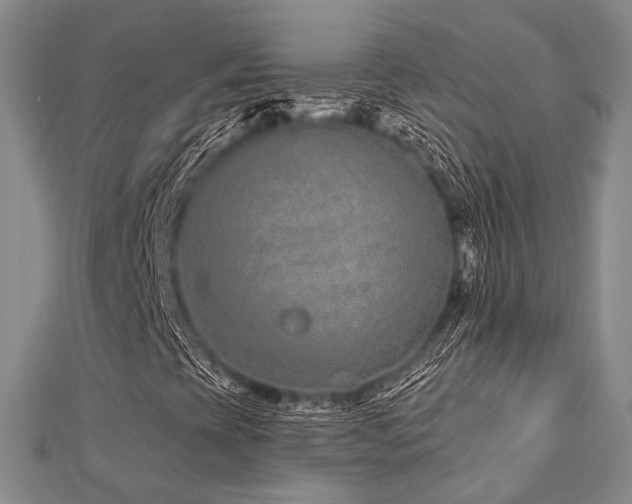 X0000112721393200908201238