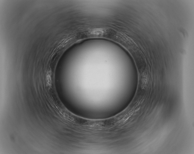X0000112721394200908201238