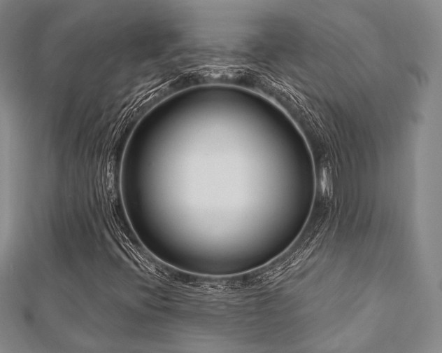X0000112721396200908201238