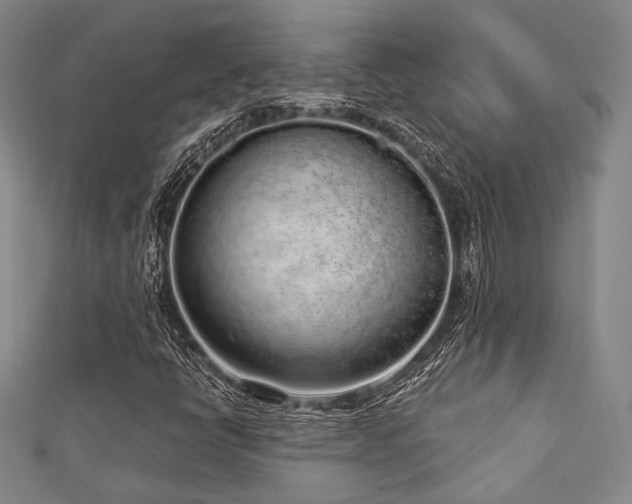 X0000112721398200908201238