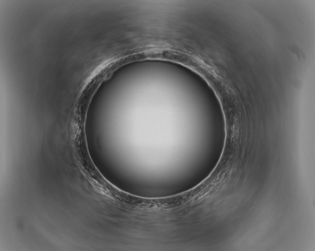 X0000112721400200908201238