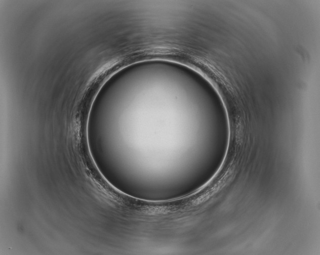 X0000112721402200908201238