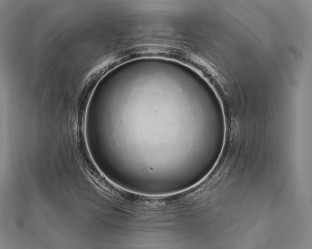 X0000112721403200908201238
