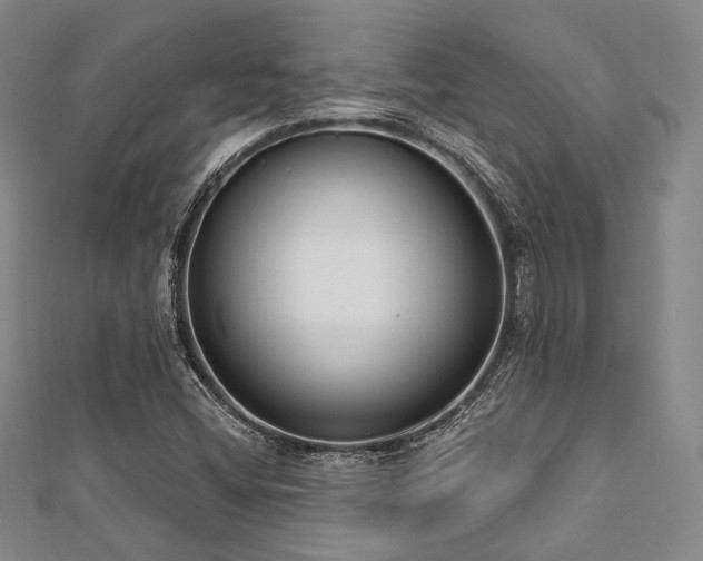 X0000112721404200908201238