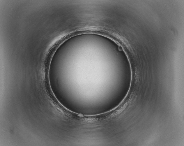 X0000112721406200908201238