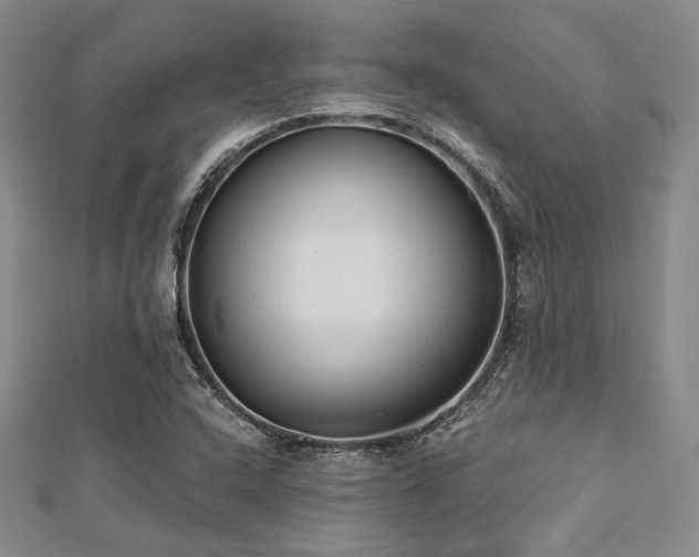 X0000112721408200908201238