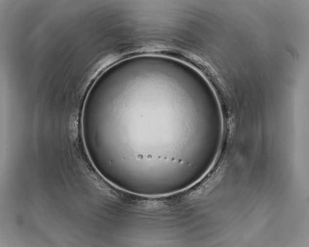 X0000112721409200908201238