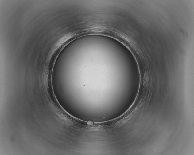 X0000112721410200908201238