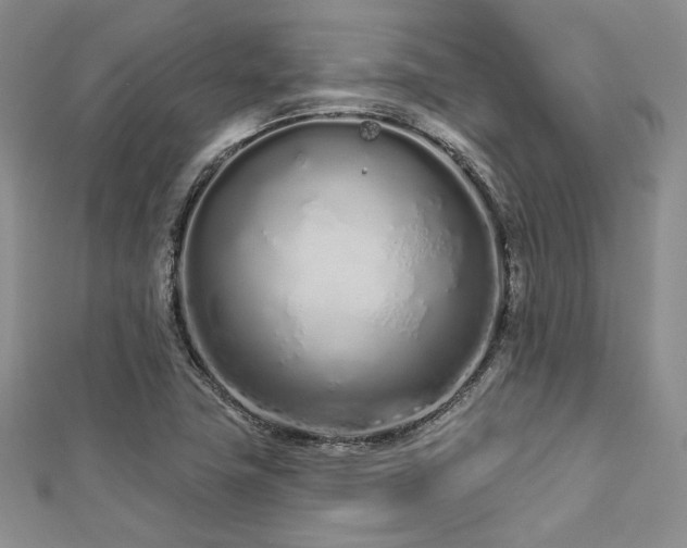 X0000112721411200908201239