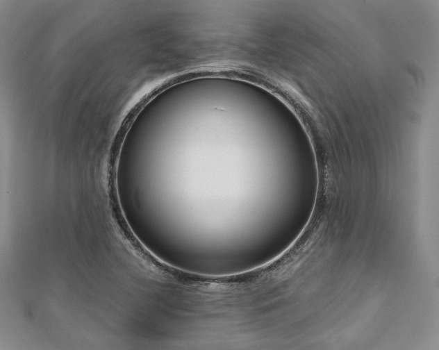 X0000112721412200908201239
