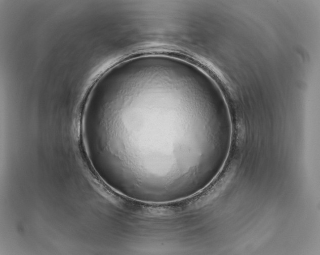 X0000112721413200908201239