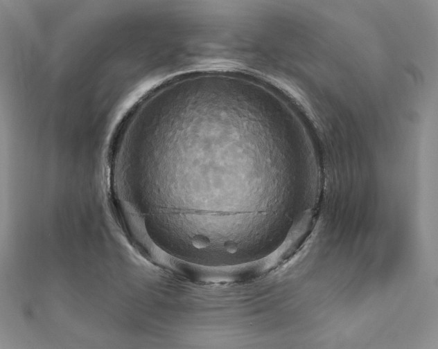 X0000112721414200908201239