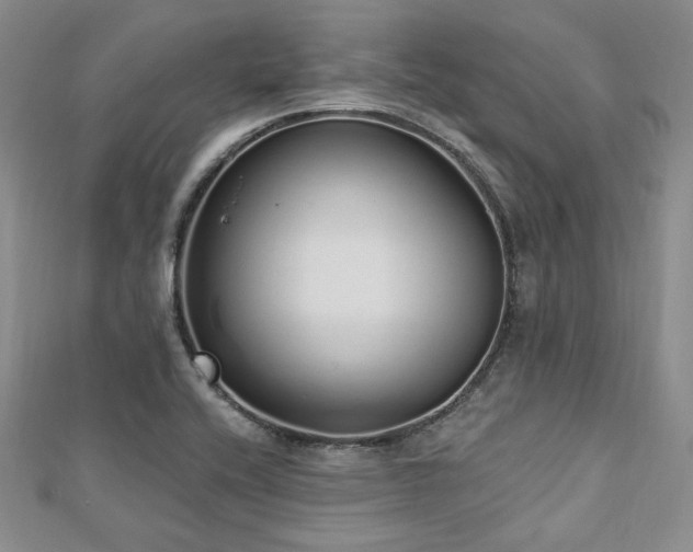 X0000112721416200908201239
