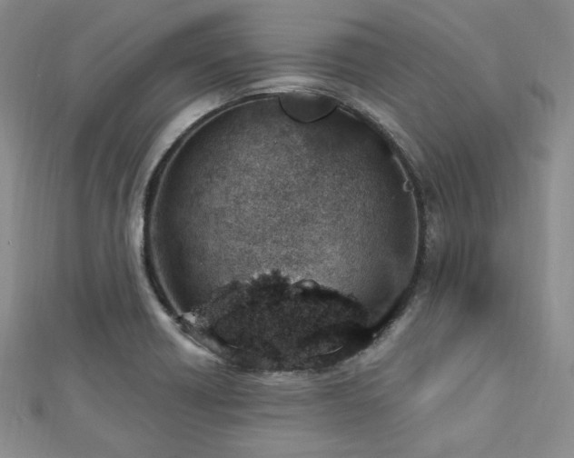 X0000112721418200908201239