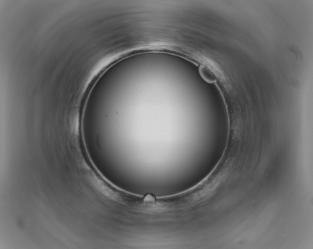 X0000112721420200908201239
