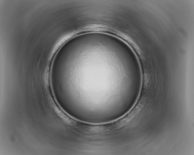 X0000112721421200908201239