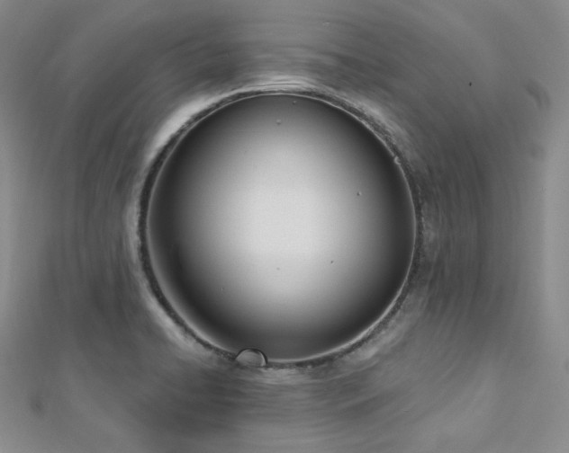 X0000112721422200908201239