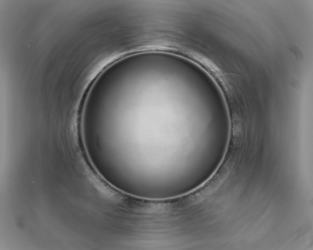 X0000112721423200908201239