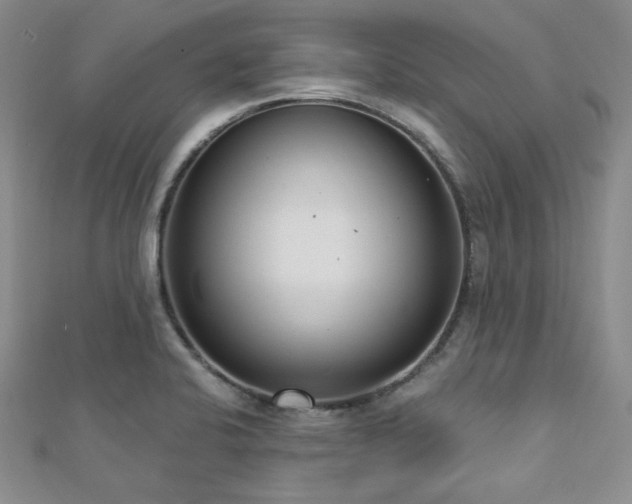 X0000112721424200908201239