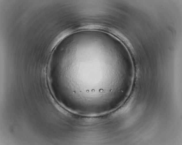 X0000112721425200908201239