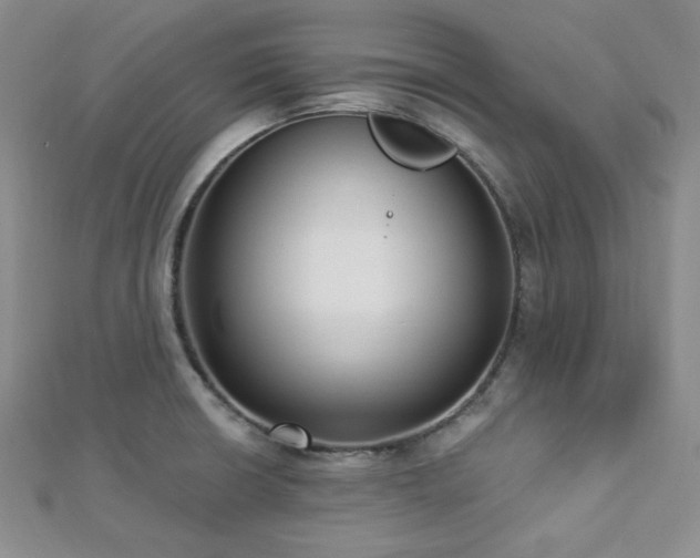X0000112721426200908201239