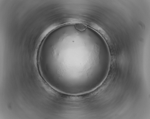 X0000112721427200908201239
