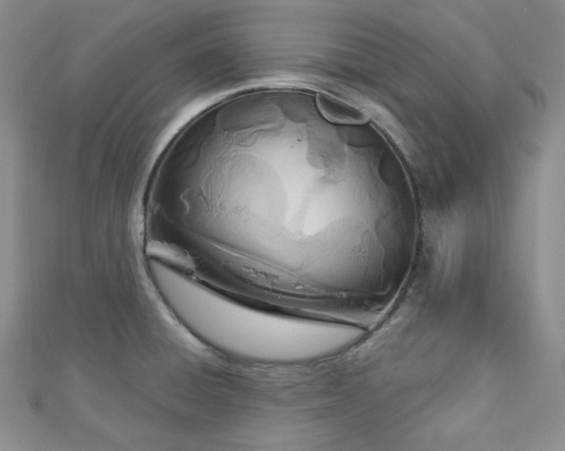 X0000112721428200908201239