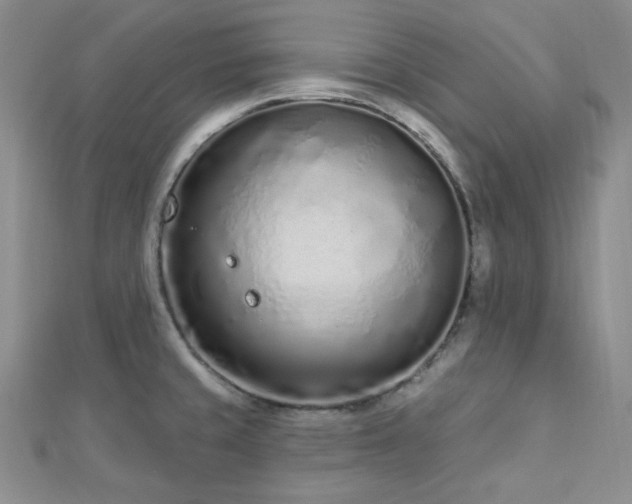 X0000112721429200908201239